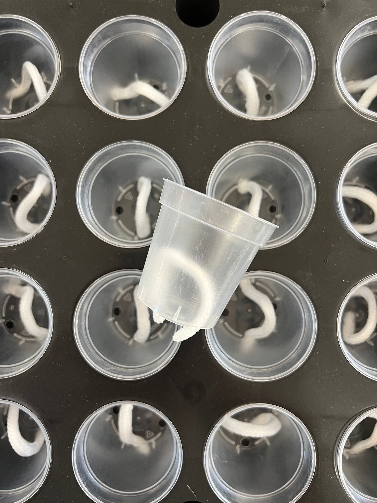 Self Watering Seedling 1020 Tray Kit