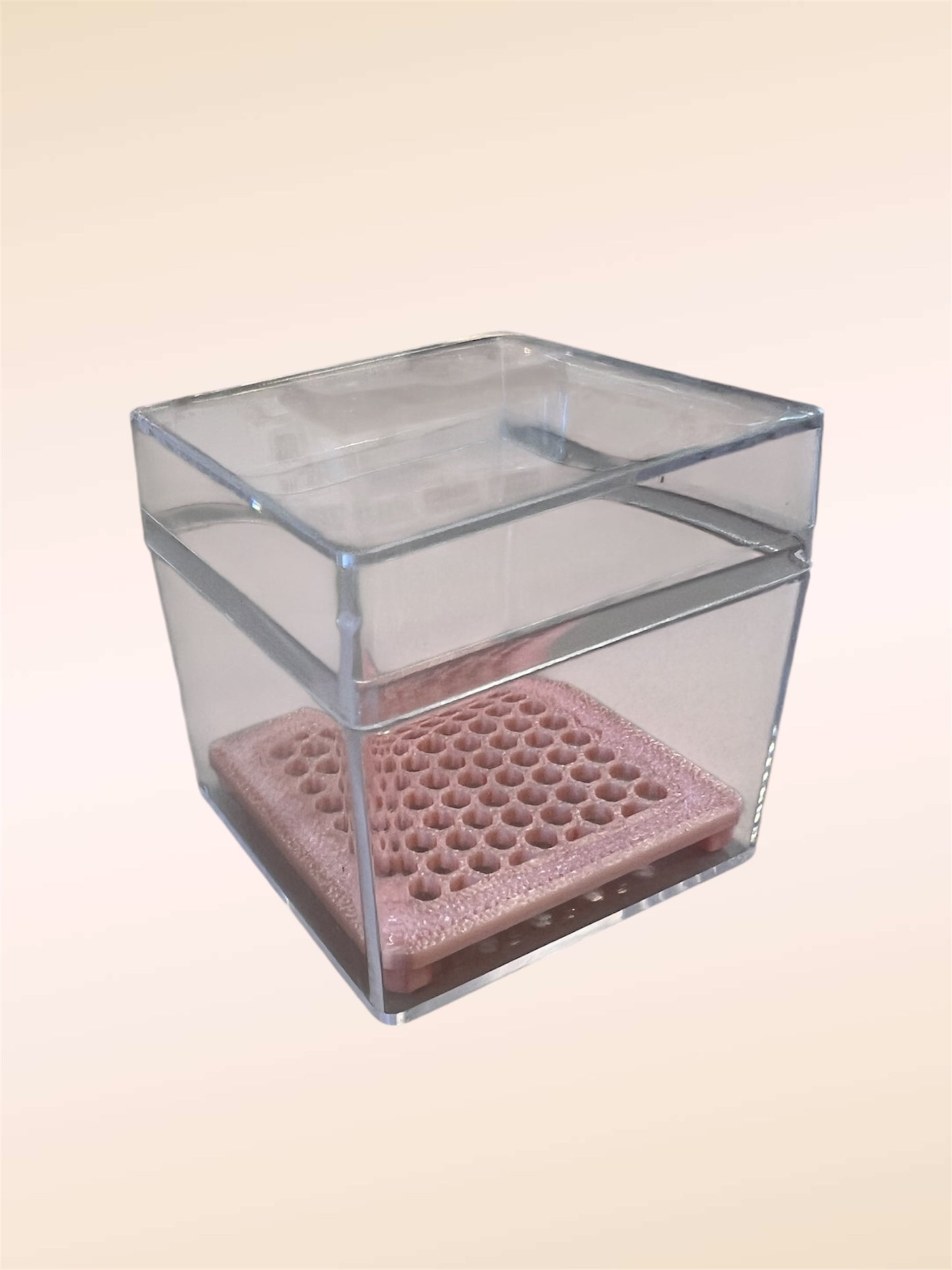 Acrylic Propagation Box & Square Corm Riser Set