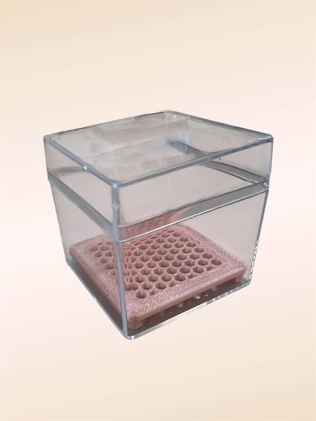 Acrylic Propagation Box & Square Corm Riser Set